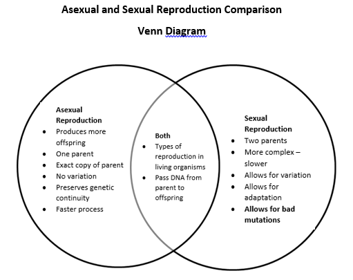 Asexual Vs Sexual Reproduction Venn Diagram General Wiring Diagram